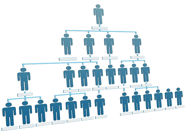 organizational_structure