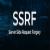 ssrfcheck