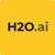 h2oai/h2o-3