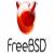 کشف آسیب‌پذیری ارتقاء سطح دسترسی محلی در سیستم‌عامل FreeBSD