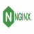 کشف آسیب‌پذیری در NGINX Web Server